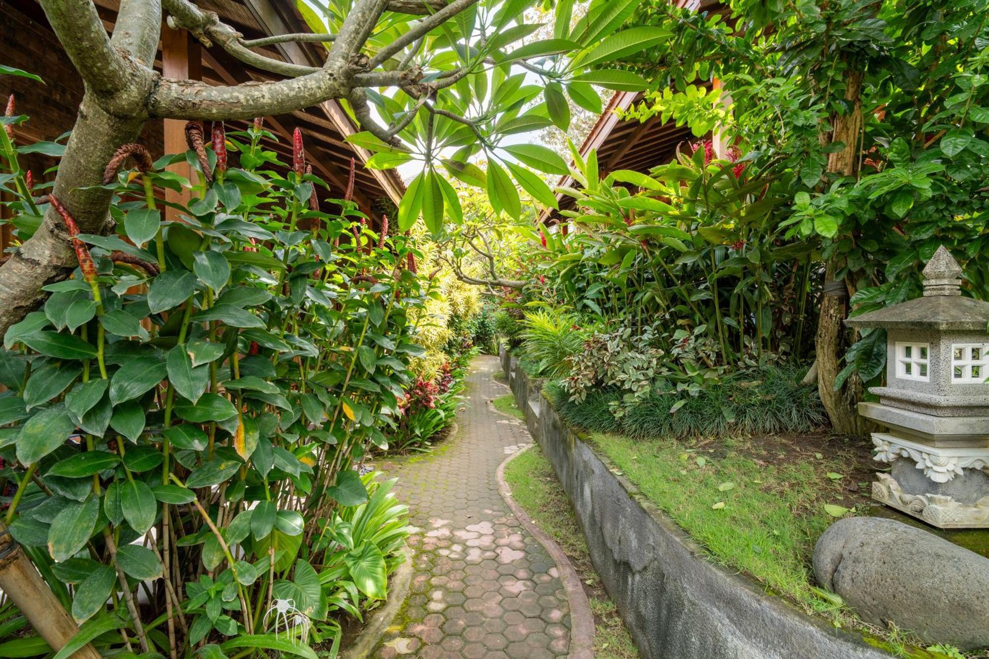 Jinar Guest House Canggu  Ngoại thất bức ảnh
